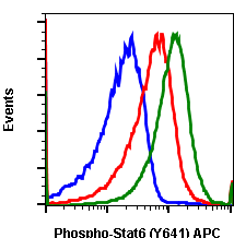 Phospho-Stat6 (Tyr641) (Clone: G12) rabbit mAb APC conjugate