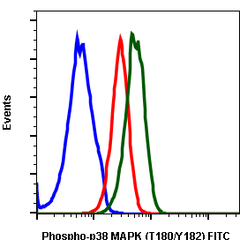 Phospho-p38 MAPK (Thr180/Tyr182) (Clone: E3) rabbit mAb FITC conjugate