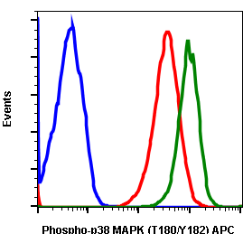 Phospho-p38 MAPK (Thr180/Tyr182) (Clone: E3) rabbit mAb APC conjugate