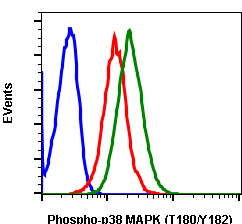 Phospho-p38 MAPK (Thr180/Tyr182) (Clone: E3) rabbit mAb SureLight488 Conjugate