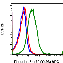 Phospho-Zap70 (Tyr493)/Syk (Tyr526) (Clone: H11) rabbit mAb APC conjugate