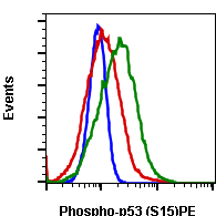 Phospho-p53 (Ser15) (Clone: 1C11) rabbit mAb PE conjugate