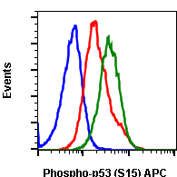 Phospho-p53 (Ser15) (Clone: 1C11) rabbit mAb APC conjugate