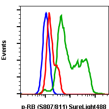 Phospho-Rb (Ser807/811) (Clone: D9) rabbit mAb SureLight488 conjugate