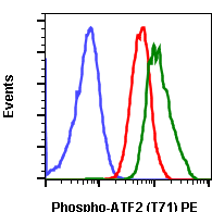 Phospho-ATF2 (Thr71) (Clone: G3) rabbit mAb PE conjugate