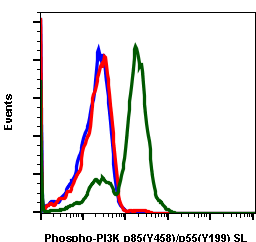 Phospho-PI3 Kinase p85 (Tyr458)/p55 (Tyr199) (Clone: 1A11) rabbit mAb SureLight488 conjugate