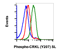 Phospho-CrkL (Tyr207) (Clone: G4) rabbit mAb SureLight488 Conjugate