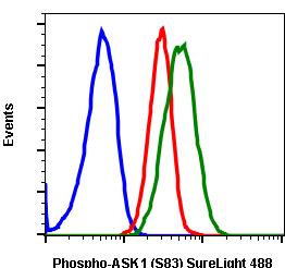 Phospho-Ask1 (Ser83) (Clone: G4) rabbit mAb SureLight 488 conjugate