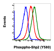 Phospho-Shp2 (Tyr580) (Clone: 4A2) rabbit mAb APC conjugate