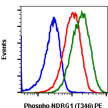 Phospho-NDRG1 (Thr346) (Clone: F5) rabbit mAb PE conjugate