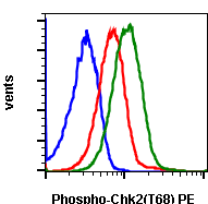 Phospho-Chk2 (Thr68) (Clone: D12) rabbit mAb PE conjugate