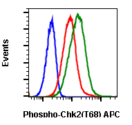 Phospho-Chk2 (Thr68) (Clone: D12) rabbit mAb APC conjugate