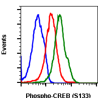 Phospho-CREB (Ser133) (Clone: 4D11) rabbit mAb PE conjugate