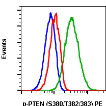 Phospho-PTEN (Ser380/Thr382/383) (Clone: E4) rabbit mAb PE conjugate