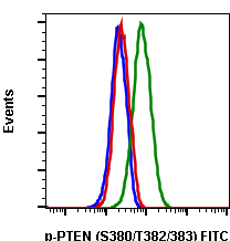 Phospho-PTEN (Ser380/Thr382/383) (Clone: E4) rabbit mAb FITC conjugate