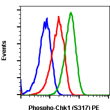 Phospho-Chk1 (Ser317) (Clone: F10) rabbit mAb PE conjugate