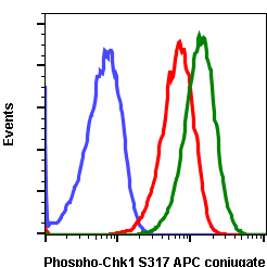 Phospho-Chk1 (Ser317) (Clone: F10) rabbit mAb APC conjugate