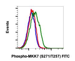 Phospho-MKK7 (Ser271/Thr275) (Clone: R4F9) rabbit mAb FITC conjugate