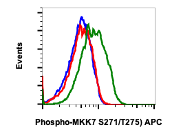 Phospho-MKK7 (Ser271/Thr275) (Clone: R4F9) rabbit mAb APC conjugate