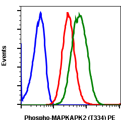 Phospho-MAPKAPK2 (Thr334) (Clone: H2) rabbit mAb PE conjugate