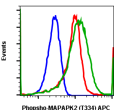 Phospho-MAPKAPK2 (Thr334) (Clone: H2) rabbit mAb APC conjugate