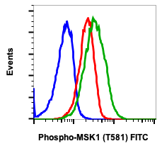 Phospho-MSK1 (Thr581) (Clone: A5) rabbit mAb FITC conjugate