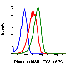 Phospho-MSK1 (Thr581) (Clone: A5) rabbit mAb APC conjugate