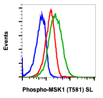 Phospho-MSK1 (Thr581) (Clone: A5) rabbit mAb SureLight488 conjugate