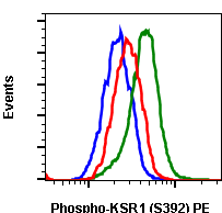 Phospho-KSR1 (Ser392) (Clone: 3A4) rabbit mAb PE conjugate