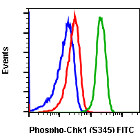 Phospho-Chk1 (Ser345) (Clone: R3F9) rabbit mAb FITC conjugate