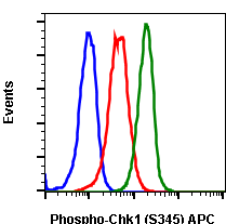 Phospho-Chk1 (Ser345) (Clone: R3F9) rabbit mAb APC conjugate