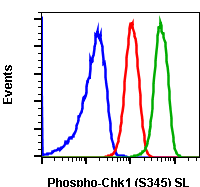 Phospho-Chk1 (Ser345) (Clone: R3F9) rabbit mAb SureLight488 conjugate