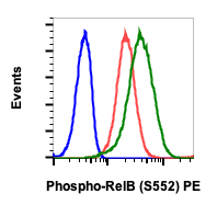 Phospho-RelB (Ser552) (Clone: A7) rabbit mAb PE conjugate