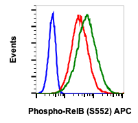 Phospho-RelB (Ser552) (Clone: A7) rabbit mAb APC conjugate