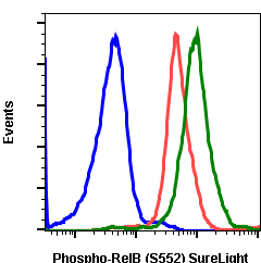 Phospho-RelB (Ser552) rabbit mAb SureLight488 conjugate