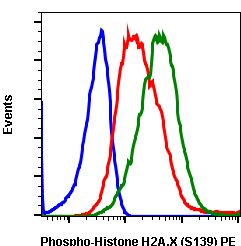 Phospho-Histone H2A.X (Ser139) (Clone: 1E4) rabbit mAb PE conjugate