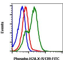 Phospho-Histone H2A.X (Ser139) (Clone: 1E4) rabbit mAb FITC conjugate