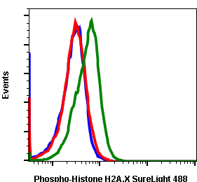 Phospho-Histone H2A.X (Ser139) (Clone: 1E4) rabbit mAb SureLight 488 conjugate