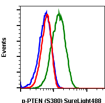 Phospho-PTEN (Ser380) (Clone: NA9) rabbit mAb SureLight488 conjugate