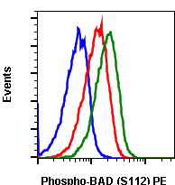 Phospho-BAD (Ser112) (Clone: B9) rabbit mAb PE conjugate