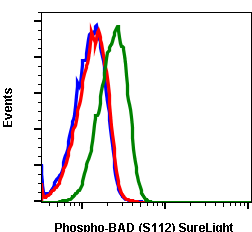 Phospho-BAD (Ser112) (Clone: B9) rabbit mAb SureLight 488 conjugate