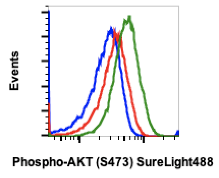 Phospho-Akt1 (Ser473) (Clone: B9) rabbit mAb SureLight488 conjugate