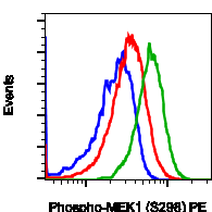 Phospho-MEK1 (Ser298) (Clone: H8) rabbit mAb PE conjugate