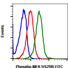 Phospho-MEK1 (Ser298) (Clone: H8) rabbit mAb FITC conjugate