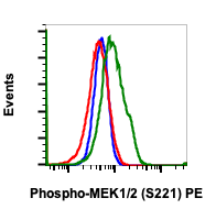 Phospho-MEK1/2 (Ser221) (Clone: D3) rabbit mAb PE Conjugate