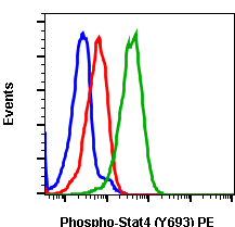 Phospho-Stat4 (Tyr693) (Clone: F6) rabbit mAb PE conjugate