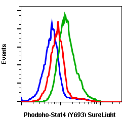 Phospho-Stat4 (Tyr693) (Clone: F6) rabbit mAb SureLight488 conjugate