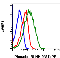 Phospho-BLNK (Tyr84) (Clone: H4) rabbit mAb PE conjugate