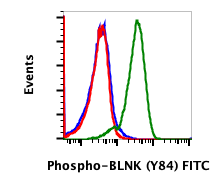 Phospho-BLNK (Tyr84) (Clone: H4) rabbit mAb FITC conjugate