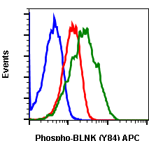 Phospho-BLNK (Tyr84) (Clone: H4) rabbit mAb APC conjugate